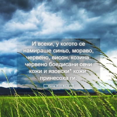 Picture 05 - Изход 35:23 BULG - И всеки, у когото се - Bible Verse Picture
