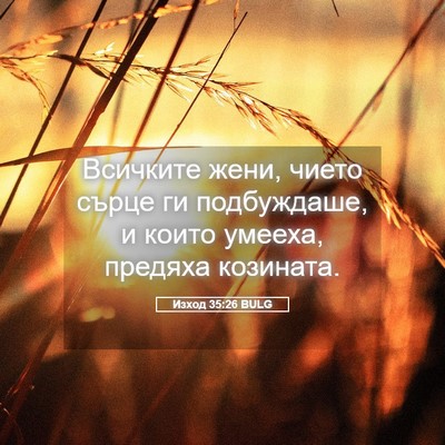 Picture 05 - Изход 35:26 BULG - Всичките жени, чието сърце - Bible Verse Picture