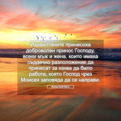Picture 05 - Изход 35:29 BULG - Израилтяните принесоха - Bible Verse Picture