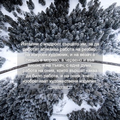 Picture 05 - Изход 35:35 BULG - Изпълни с мъдрост сърцето - Bible Verse Picture