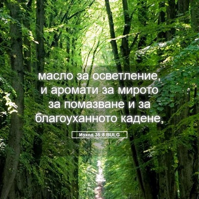 Picture 05 - Изход 35:8 BULG - масло за осветление, и - Bible Verse Picture