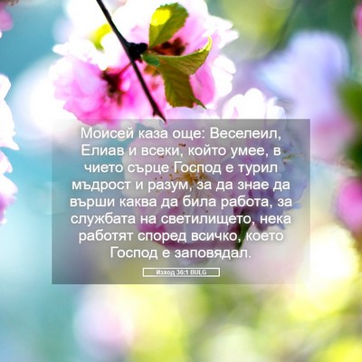 Picture 05 - Изход 36:1 BULG - Моисей каза още: Веселеил, - Bible Verse Picture