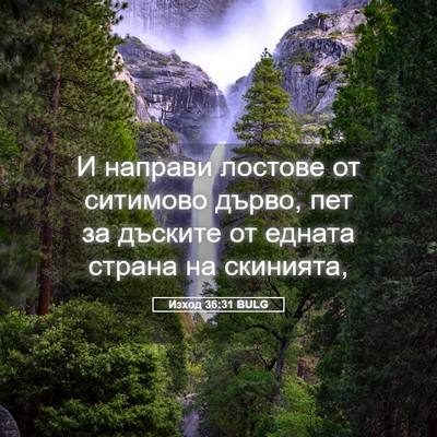 Picture 05 - Изход 36:31 BULG - И направи лостове от - Bible Verse Picture