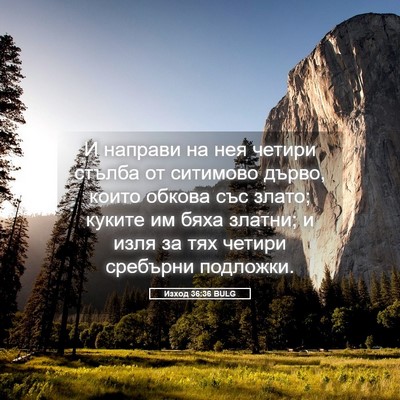Picture 05 - Изход 36:36 BULG - И направи на нея четири - Bible Verse Picture