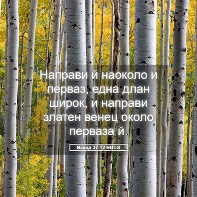 Picture 05 - Изход 37:12 BULG - Направи й наоколо и перваз, - Bible Verse Picture