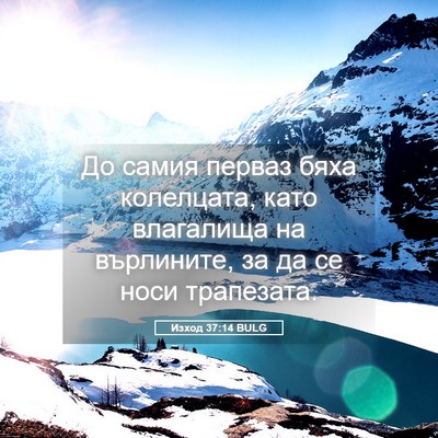 Picture 05 - Изход 37:14 BULG - До самия перваз бяха - Bible Verse Picture