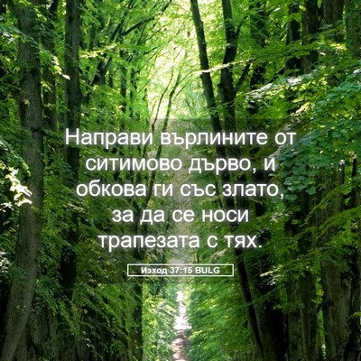 Picture 05 - Изход 37:15 BULG - Направи върлините от - Bible Verse Picture