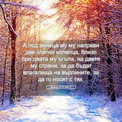 Picture 05 - Изход 37:27 BULG - А под венеца му му направи - Bible Verse Picture