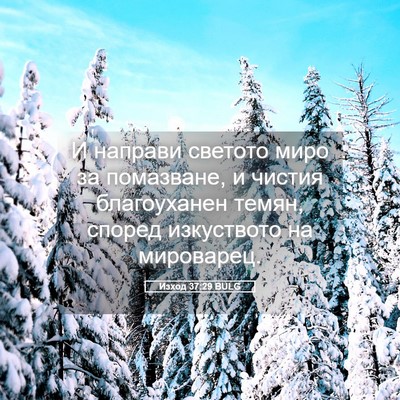 Picture 05 - Изход 37:29 BULG - И направи светото миро за - Bible Verse Picture