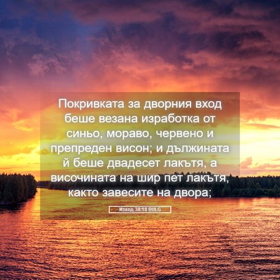 Picture 05 - Изход 38:18 BULG - Покривката за дворния вход - Bible Verse Picture