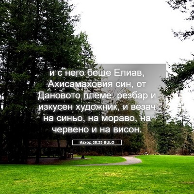 Picture 05 - Изход 38:23 BULG - и с него беше Елиав, - Bible Verse Picture