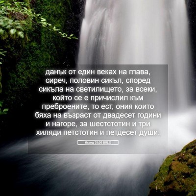Picture 05 - Изход 38:26 BULG - данък от един веках на - Bible Verse Picture