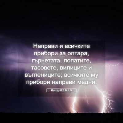Picture 05 - Изход 38:3 BULG - Направи и всичките прибори - Bible Verse Picture