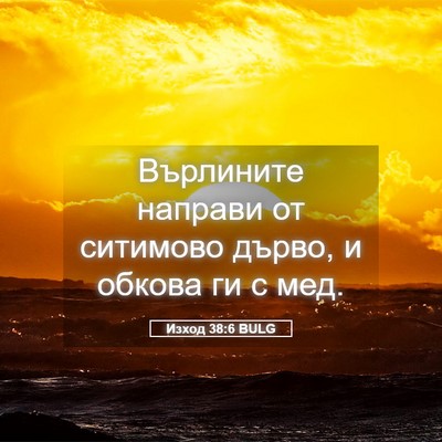 Picture 05 - Изход 38:6 BULG - Върлините направи от - Bible Verse Picture