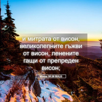 Picture 05 - Изход 39:28 BULG - и митрата от висон, - Bible Verse Picture