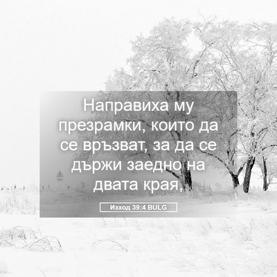 Picture 05 - Изход 39:4 BULG - Направиха му презрамки, - Bible Verse Picture