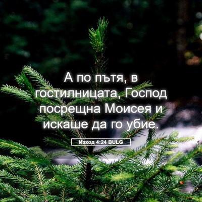 Picture 05 - Изход 4:24 BULG - А по пътя, в гостилницата, - Bible Verse Picture