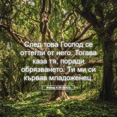 Picture 05 - Изход 4:26 BULG - След това Господ се - Bible Verse Picture