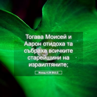 Picture 05 - Изход 4:29 BULG - Тогава Моисей и Аарон - Bible Verse Picture