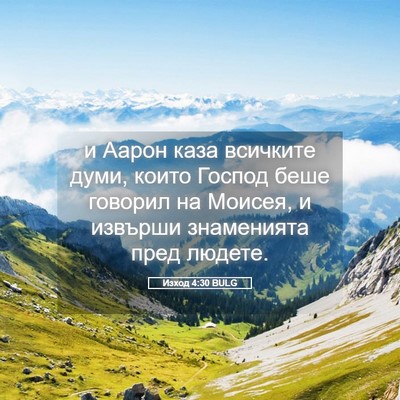 Picture 05 - Изход 4:30 BULG - и Аарон каза всичките думи, - Bible Verse Picture