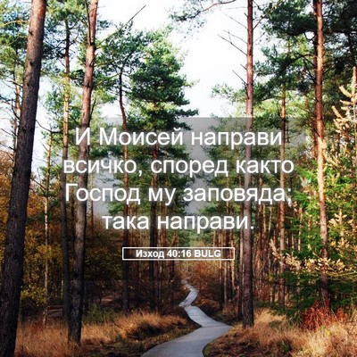Picture 05 - Изход 40:16 BULG - И Моисей направи всичко, - Bible Verse Picture