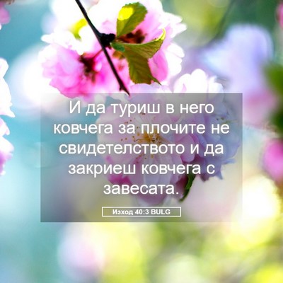 Picture 05 - Изход 40:3 BULG - И да туриш в него ковчега - Bible Verse Picture