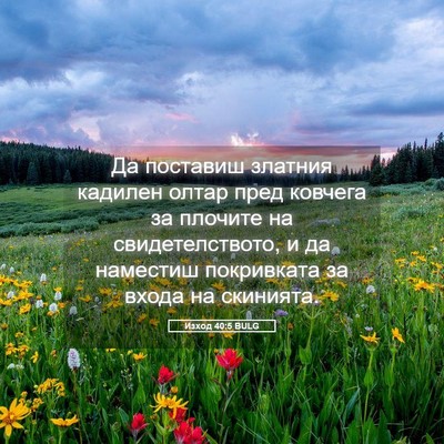Picture 05 - Изход 40:5 BULG - Да поставиш златния - Bible Verse Picture
