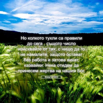 Picture 05 - Изход 5:8 BULG - Но колкото тухли са - Bible Verse Picture