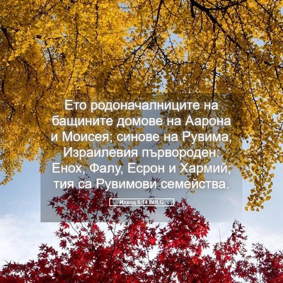 Picture 05 - Изход 6:14 BULG - Ето родоначалниците на - Bible Verse Picture