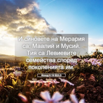 Picture 05 - Изход 6:19 BULG - И синовете на Мерария са: - Bible Verse Picture