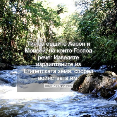 Picture 05 - Изход 6:26 BULG - Тия са същите Аарон и - Bible Verse Picture
