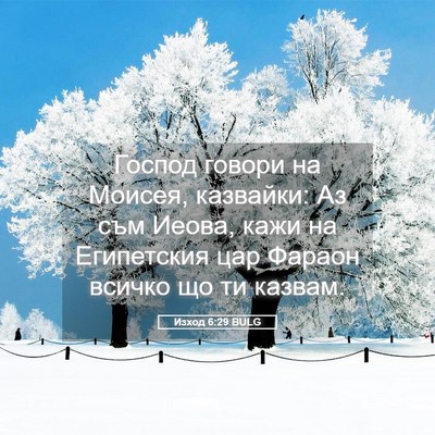 Picture 05 - Изход 6:29 BULG - Господ говори на Моисея, - Bible Verse Picture