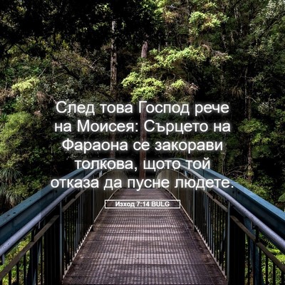 Picture 05 - Изход 7:14 BULG - След това Господ рече на - Bible Verse Picture