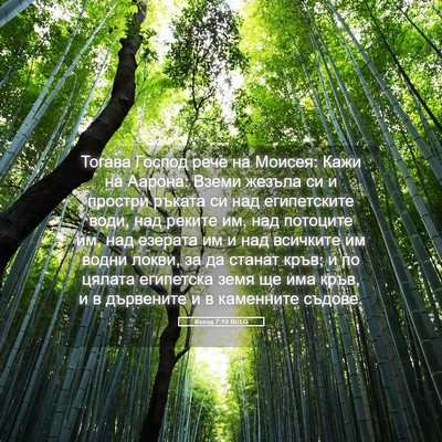 Picture 05 - Изход 7:19 BULG - Тогава Господ рече на - Bible Verse Picture