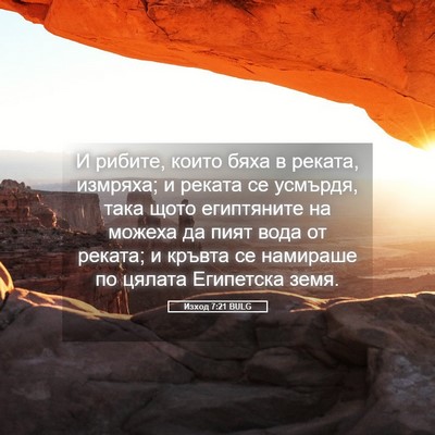 Picture 05 - Изход 7:21 BULG - И рибите, които бяха в - Bible Verse Picture