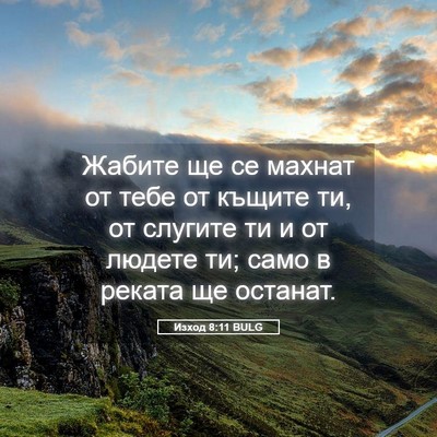 Picture 05 - Изход 8:11 BULG - Жабите ще се махнат от тебе - Bible Verse Picture
