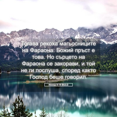 Picture 05 - Изход 8:19 BULG - Тогава рекоха - Bible Verse Picture
