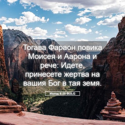 Picture 05 - Изход 8:25 BULG - Тогава Фараон повика - Bible Verse Picture