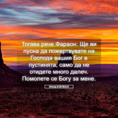 Picture 05 - Изход 8:28 BULG - Тогава рече Фараон: Ще ви - Bible Verse Picture
