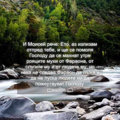 Picture 05 - Изход 8:29 BULG - И Моисей рече: Ето, аз - Bible Verse Picture
