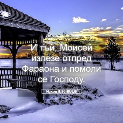 Picture 05 - Изход 8:30 BULG - И тъй, Моисей излезе отпред - Bible Verse Picture