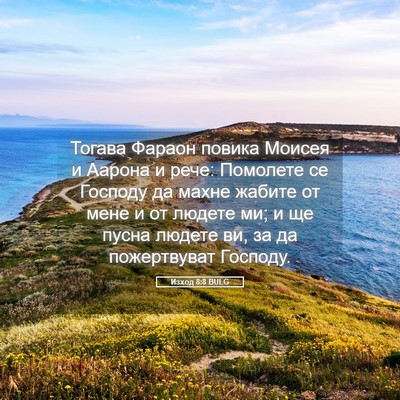 Picture 05 - Изход 8:8 BULG - Тогава Фараон повика - Bible Verse Picture