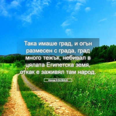 Picture 05 - Изход 9:24 BULG - Така имаше град, и огън - Bible Verse Picture