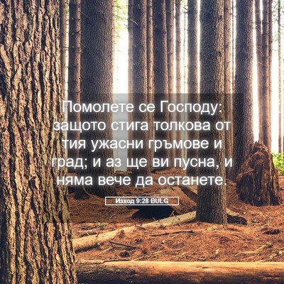 Picture 05 - Изход 9:28 BULG - Помолете се Господу: - Bible Verse Picture