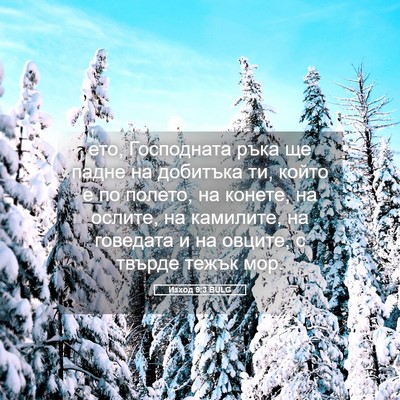 Picture 05 - Изход 9:3 BULG - ето, Господната ръка ще - Bible Verse Picture