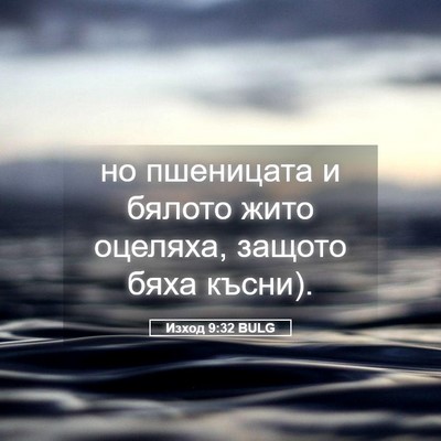Picture 05 - Изход 9:32 BULG - но пшеницата и бялото жито - Bible Verse Picture