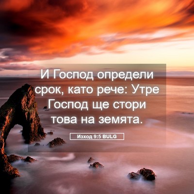 Picture 05 - Изход 9:5 BULG - И Господ определи срок, - Bible Verse Picture