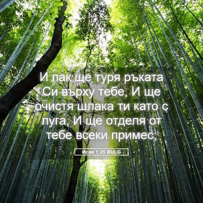Picture 05 - Исая 1:25 BULG - И пак ще туря ръката Си - Bible Verse Picture