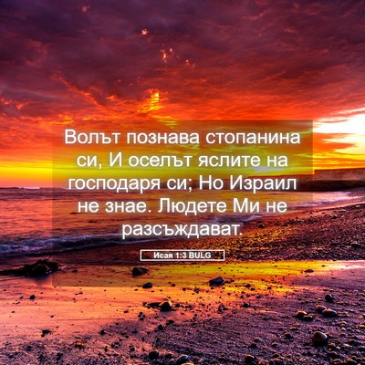Picture 05 - Исая 1:3 BULG - Волът познава стопанина - Bible Verse Picture