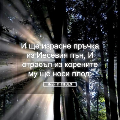 Picture 05 - Исая 11:1 BULG - И ще израсне пръчка из - Bible Verse Picture